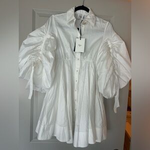 AJE Utopia Drawstring Mini Dress